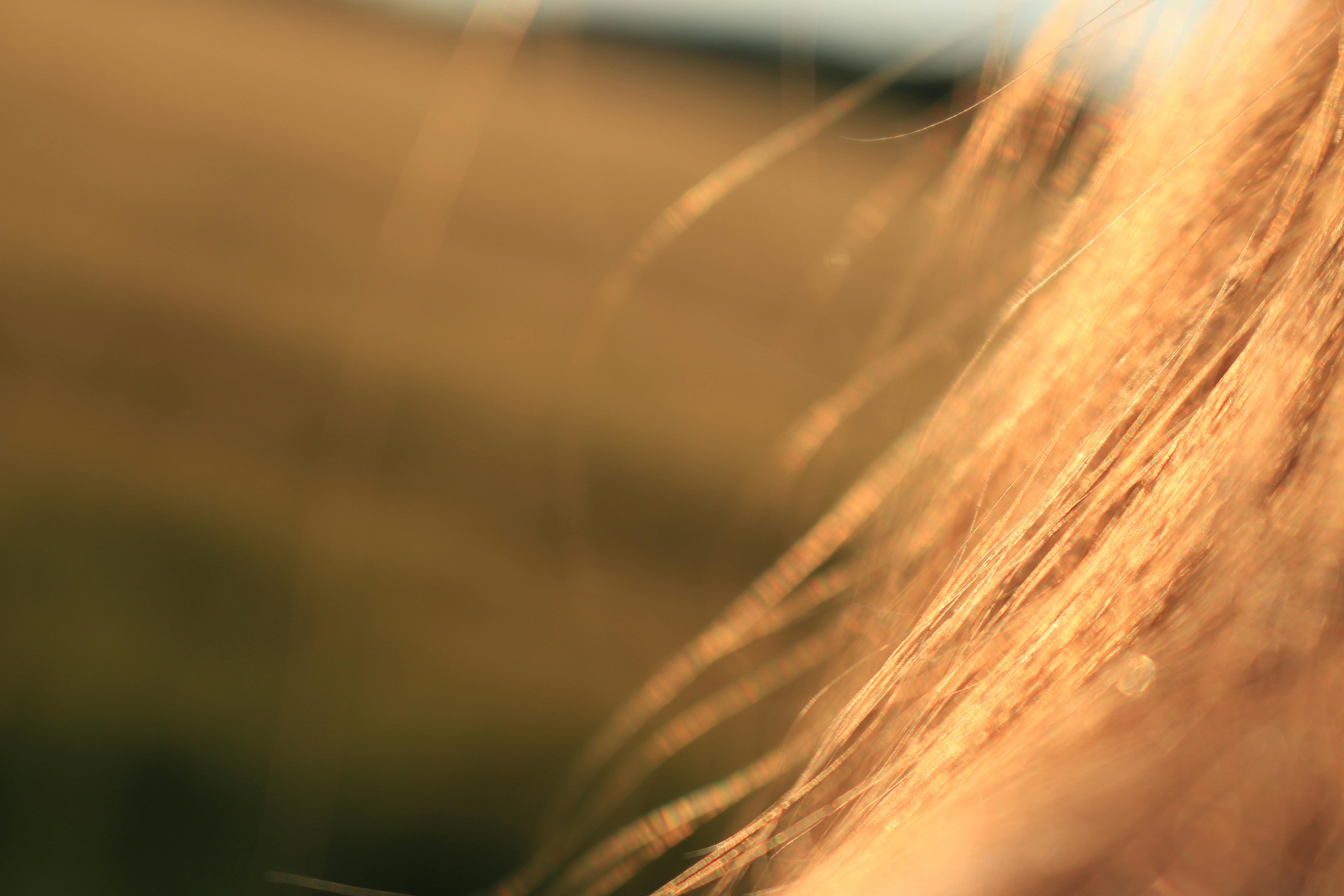 Best Supplement for Hair Growth in UK - 2025 - NUCHU