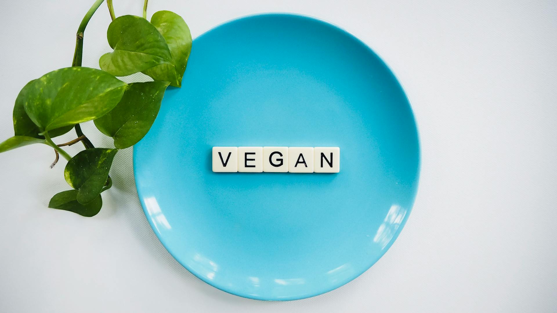 Best Vegan Gummies in the UK (2025) - nuchu