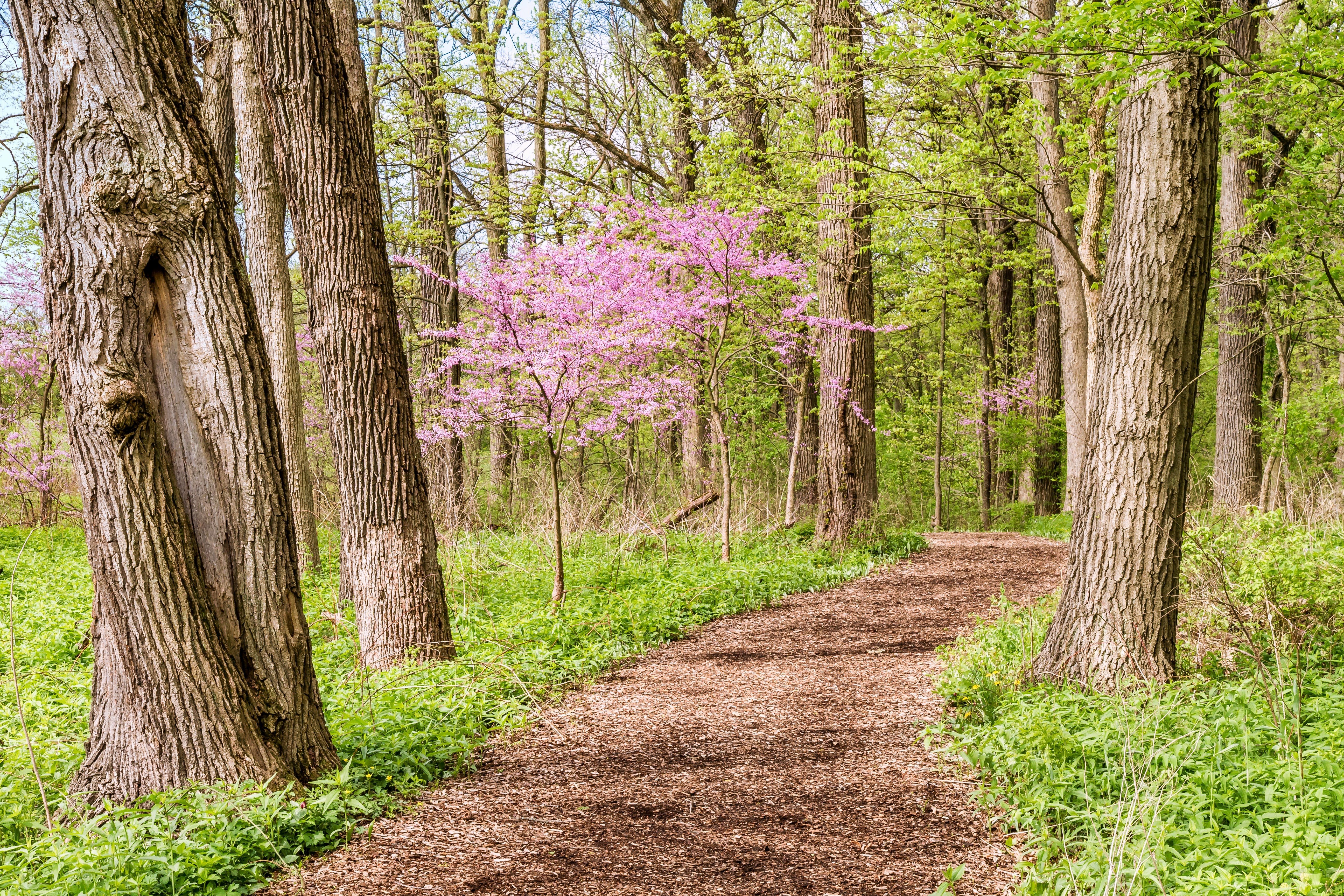 5 Outdoor Activities to Reduce Anxiety