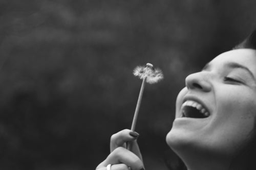 Unlocking the Power of Propolis - Nuchu