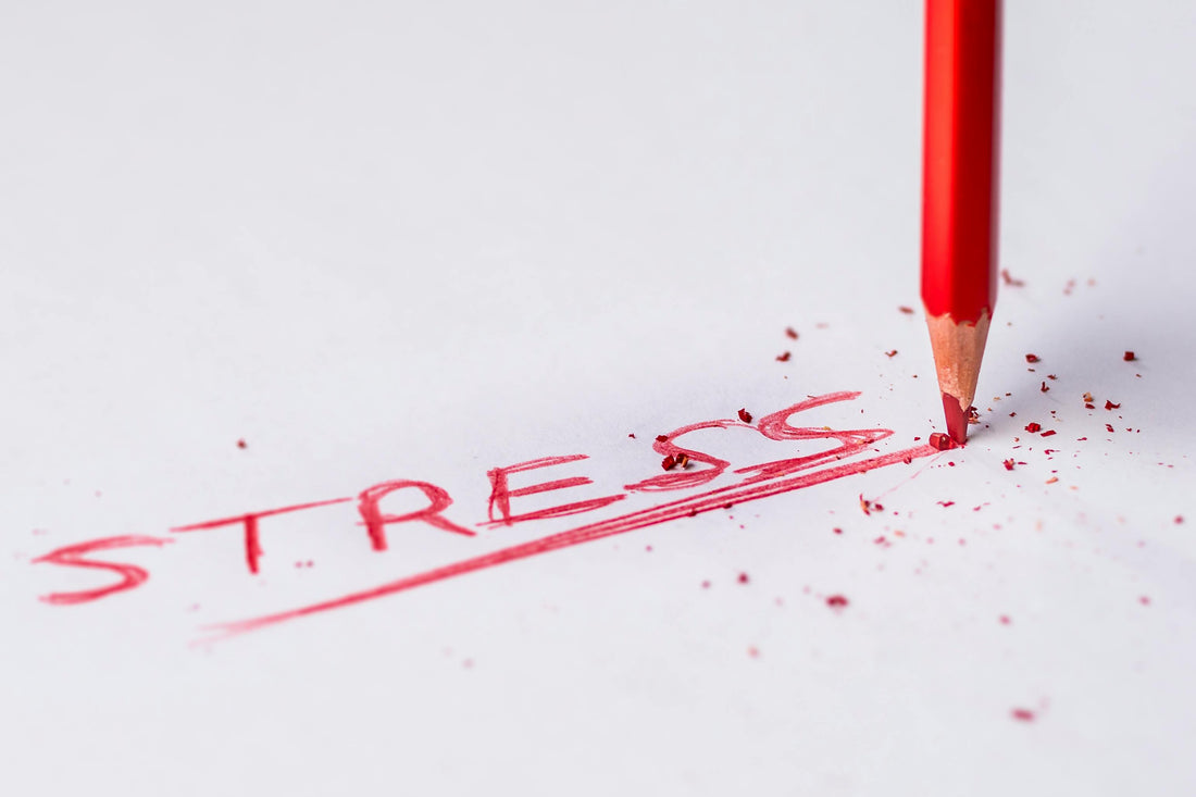 Best Supplement for Stress in UK - 2025 - NUCHU